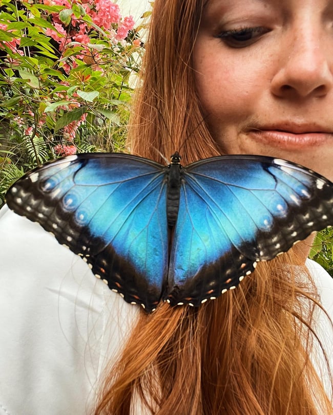 ILP Adventure in Costa Rica