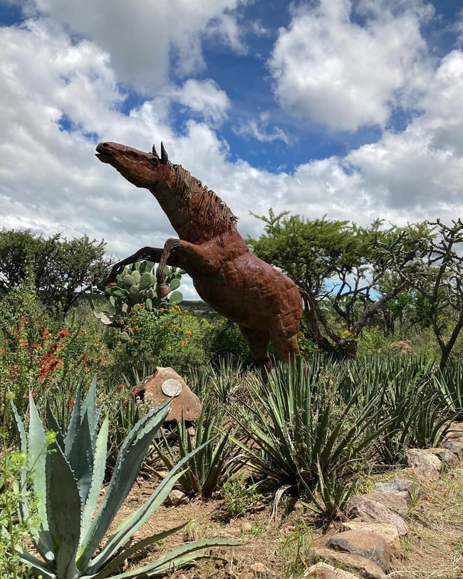 Botanical Gardens in San Miguel
