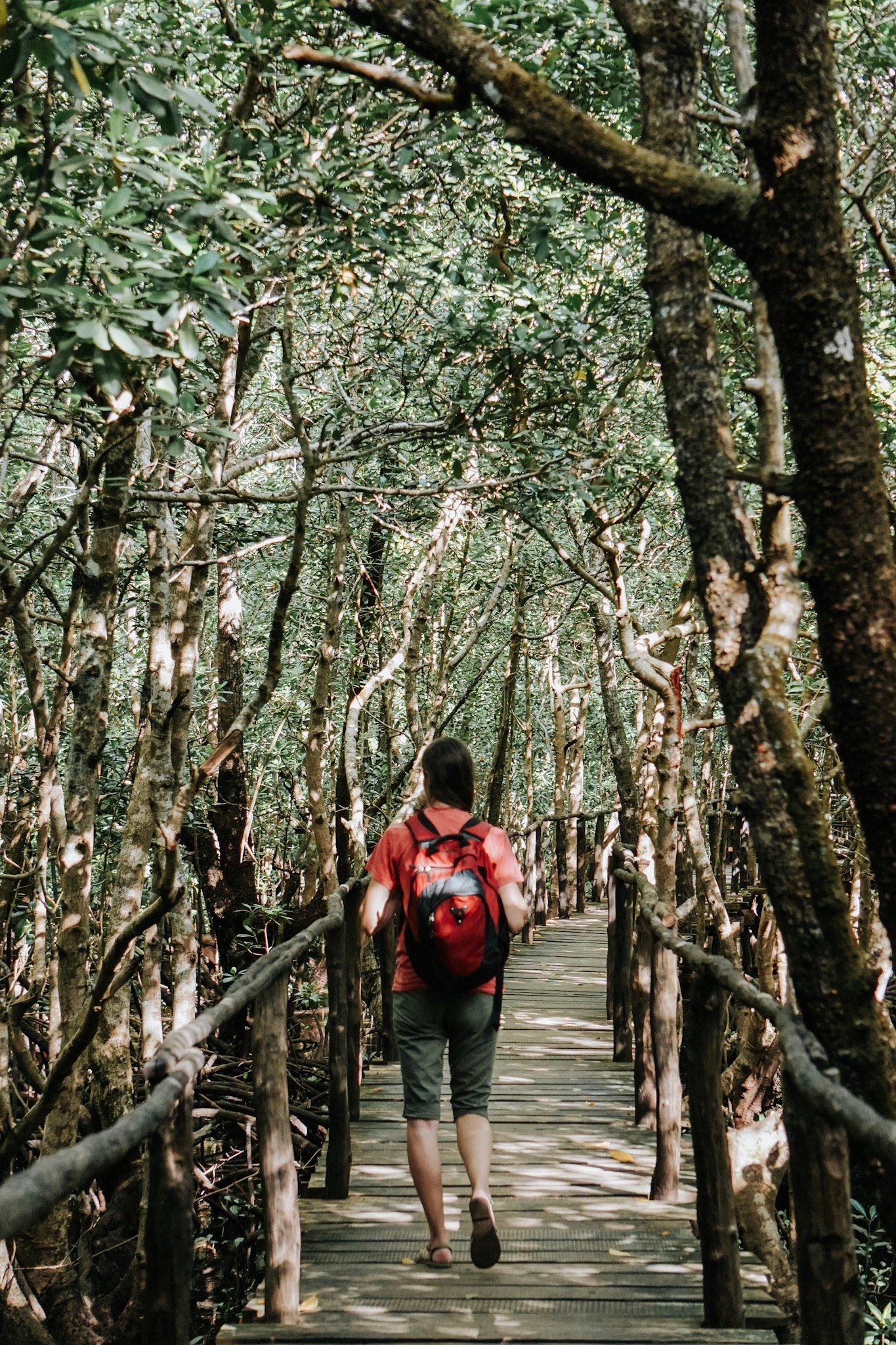 ILP adventure