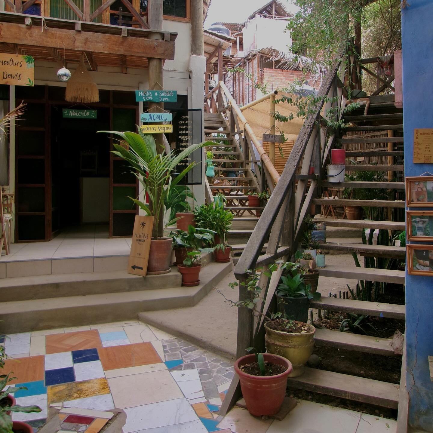 rylee.cottam_1753404305_3684144798693528309_42400296754