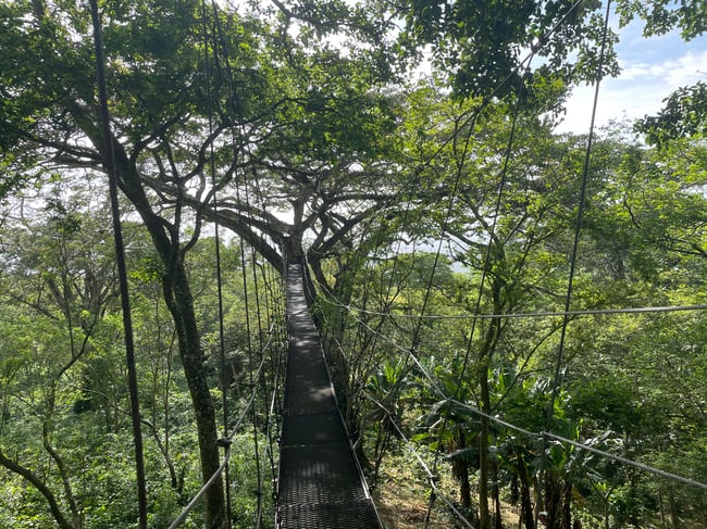 ILP Nicaragua