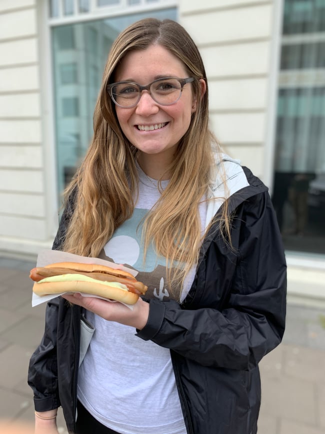 hot dogs in iceland