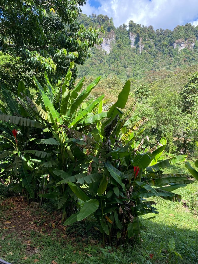 ILP Nicaragua