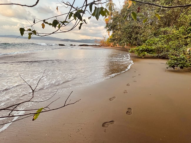 ILP Costa Rica 