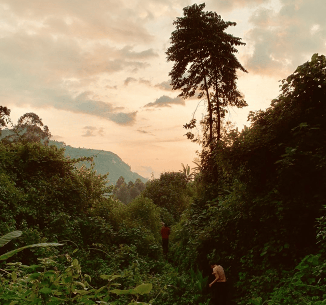 ILP Uganda