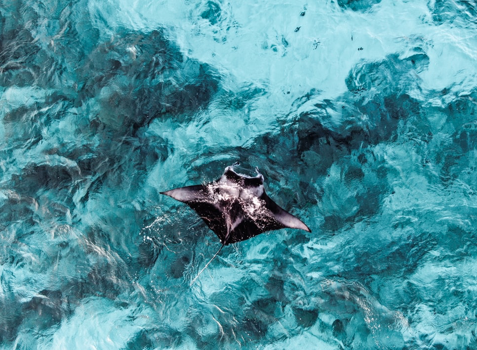Teach English in Vanuatu