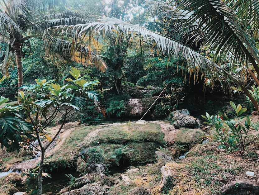 ILP South Pacific Humanitarian Program