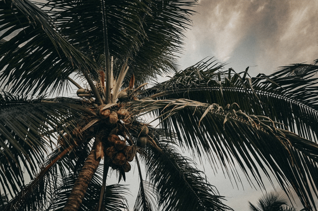 Travel hashtags for Panama 