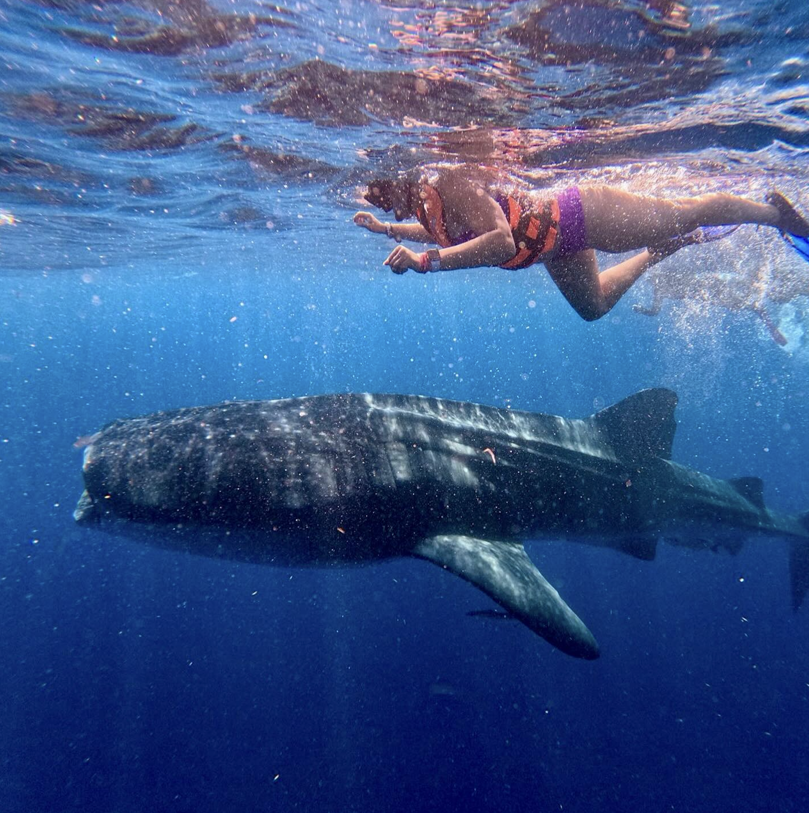 Screenshot 2025-09-10 at 1.43.18 PM