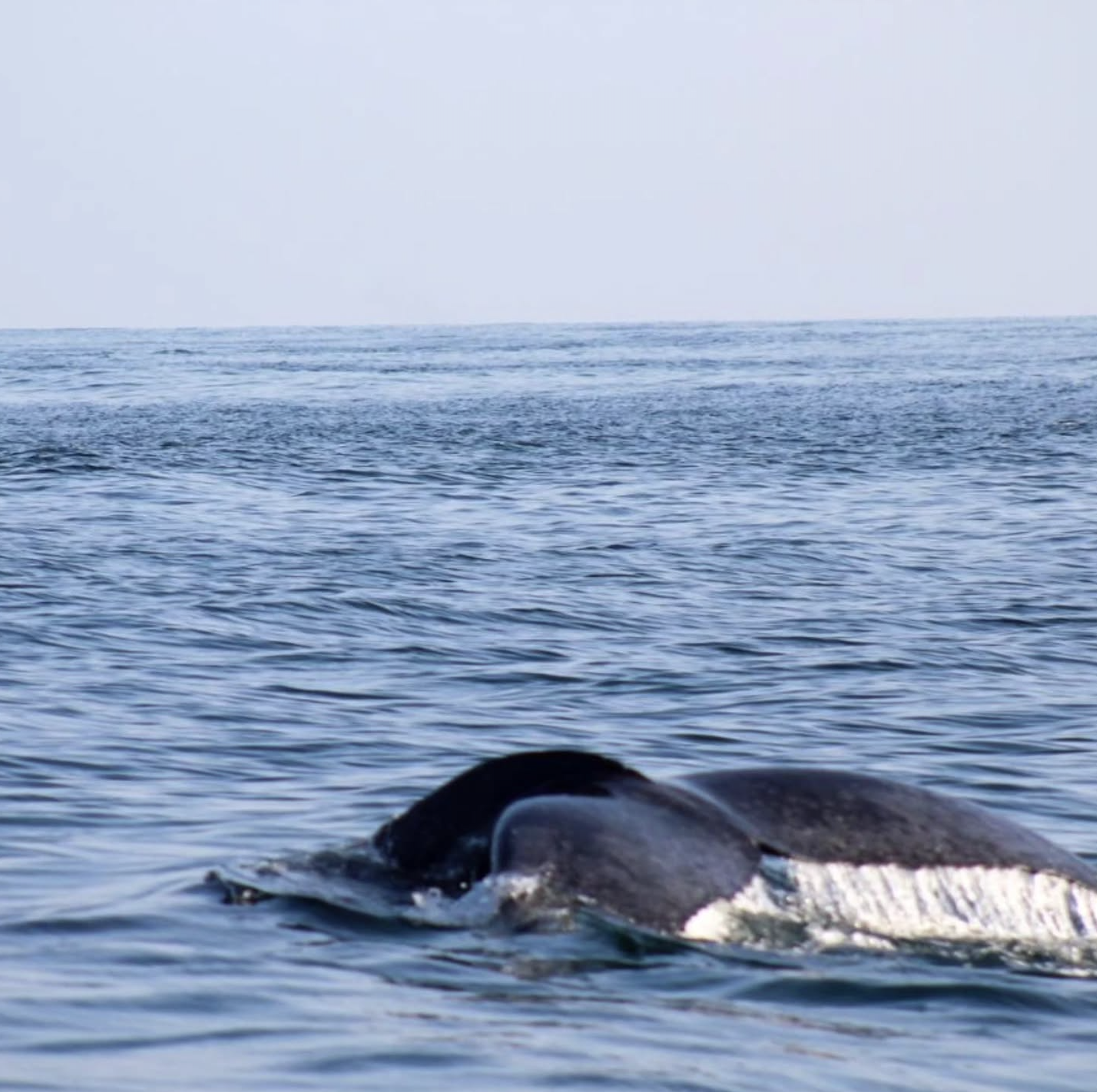 Screenshot 2025-09-10 at 4.15.37 PM