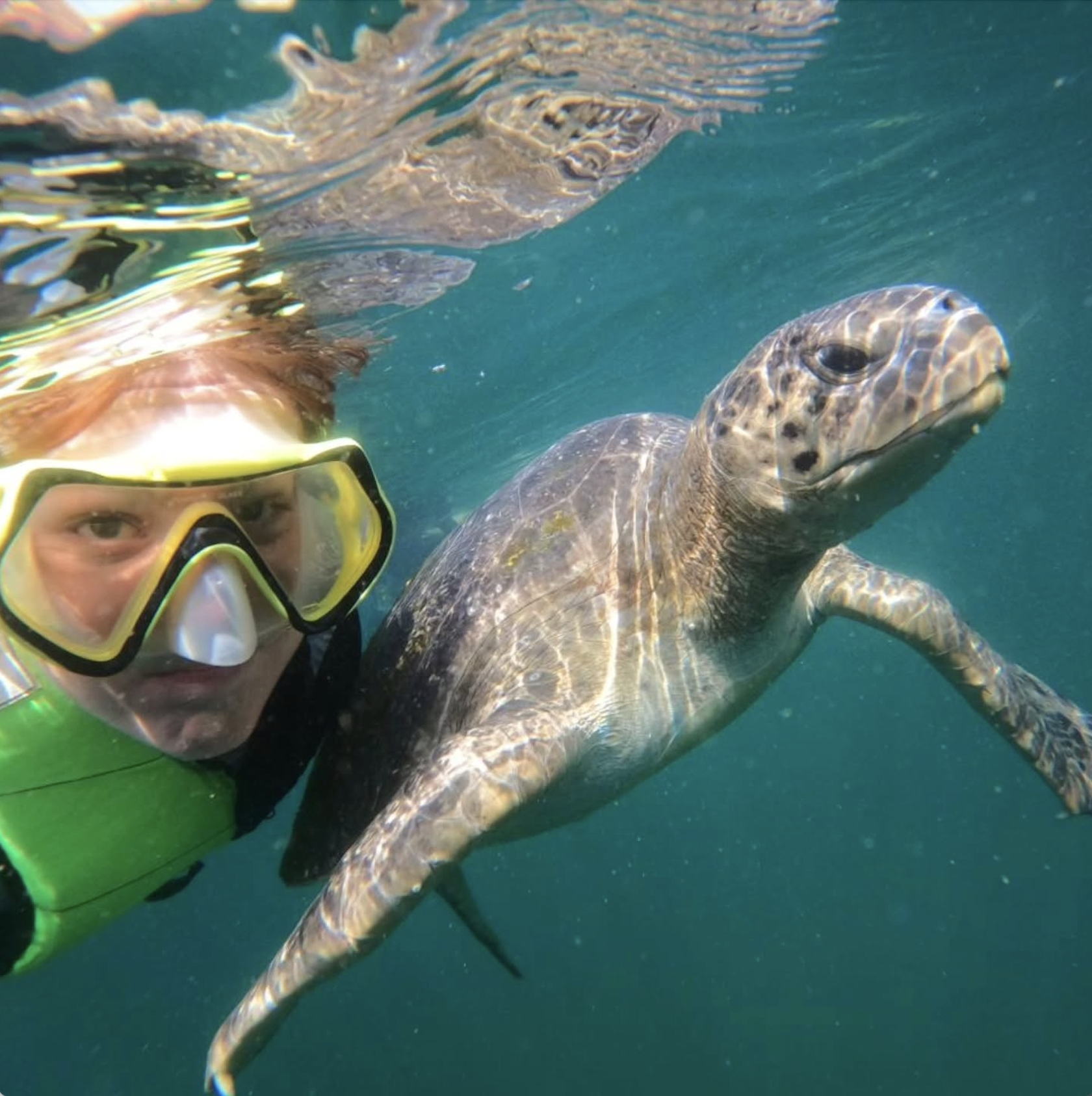 Screenshot 2025-09-10 at 4.15.46 PM