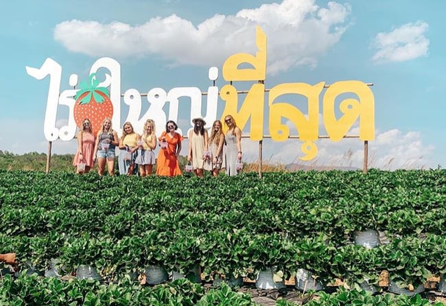 ILP Thailand