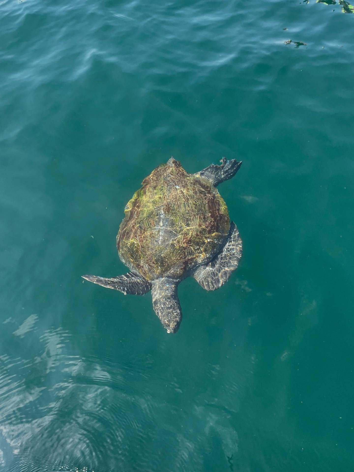 abbymrasmussen_3676810183168262399s2025-9-10-15.8.508 story