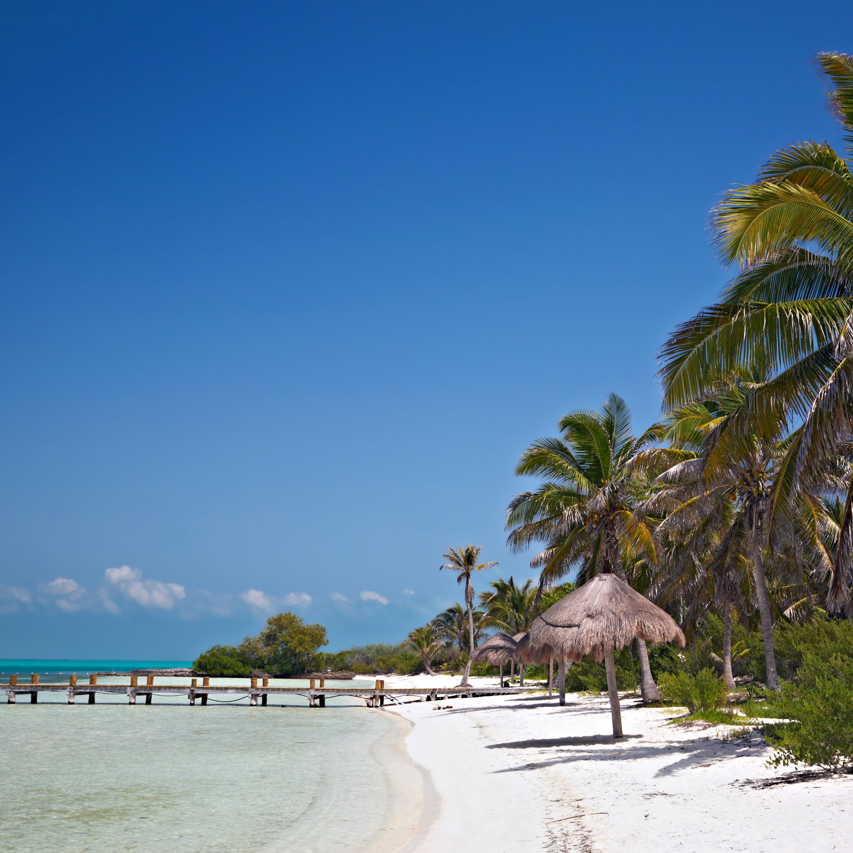 semester abroad in mexico