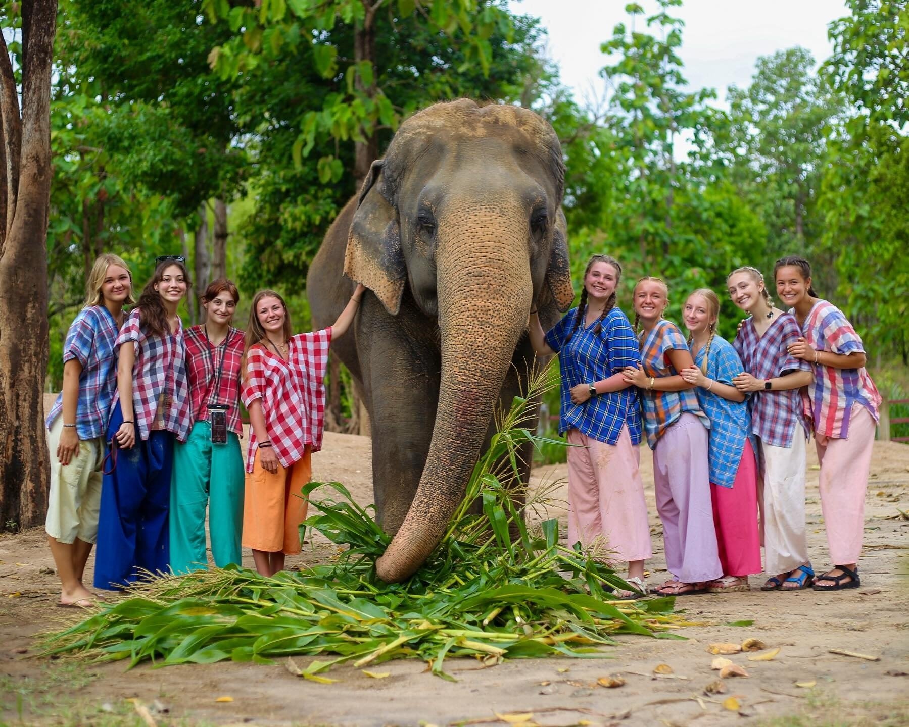 beauubennett_1744644425_3610661598584895325_5796702606-1