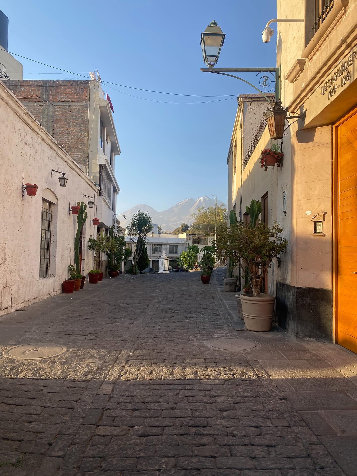 brookelin_jade_1760886074_3746906422681633080_52658452469