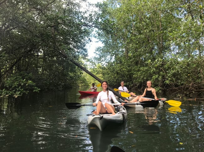 ILP Adventure