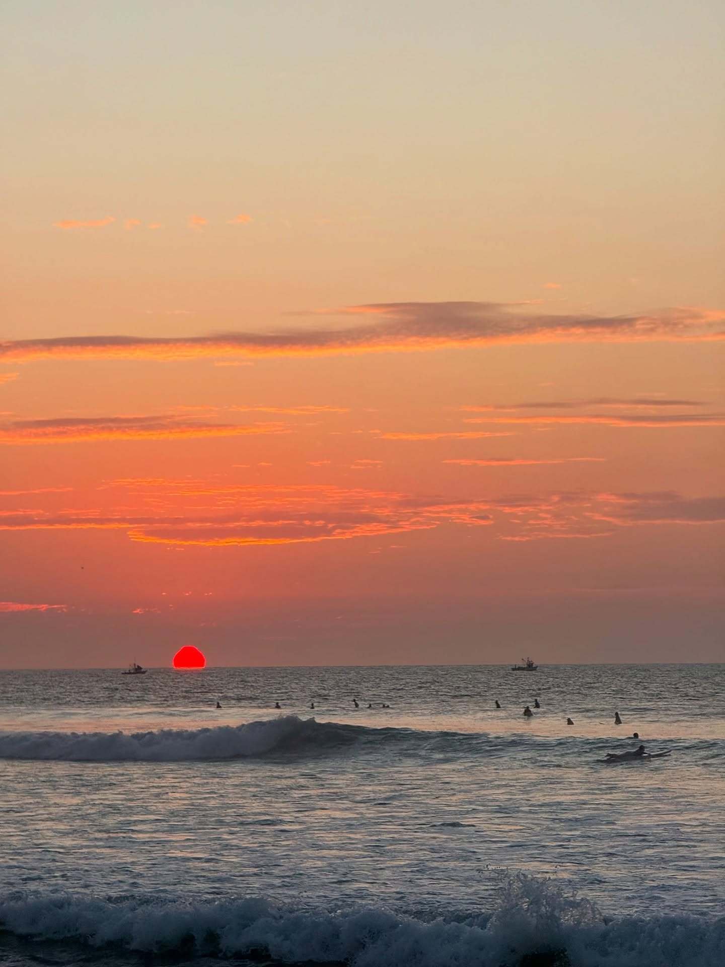 graciefellows__1752978766_3680575118673935635_4624463577