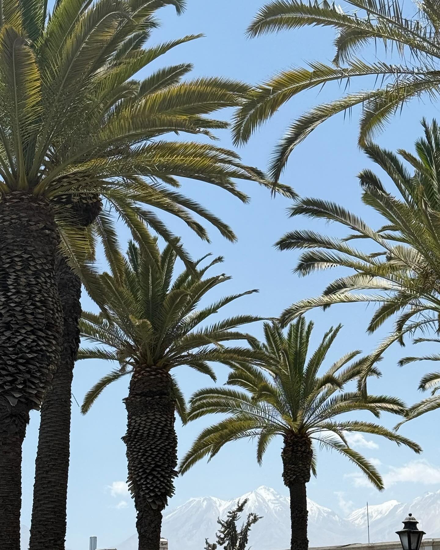 lilly_smith379_1760828651_3746424721136323920_7682025347