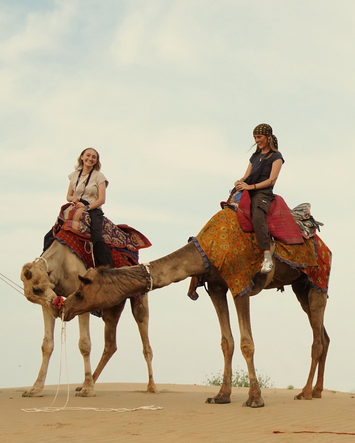 travel abroad programs